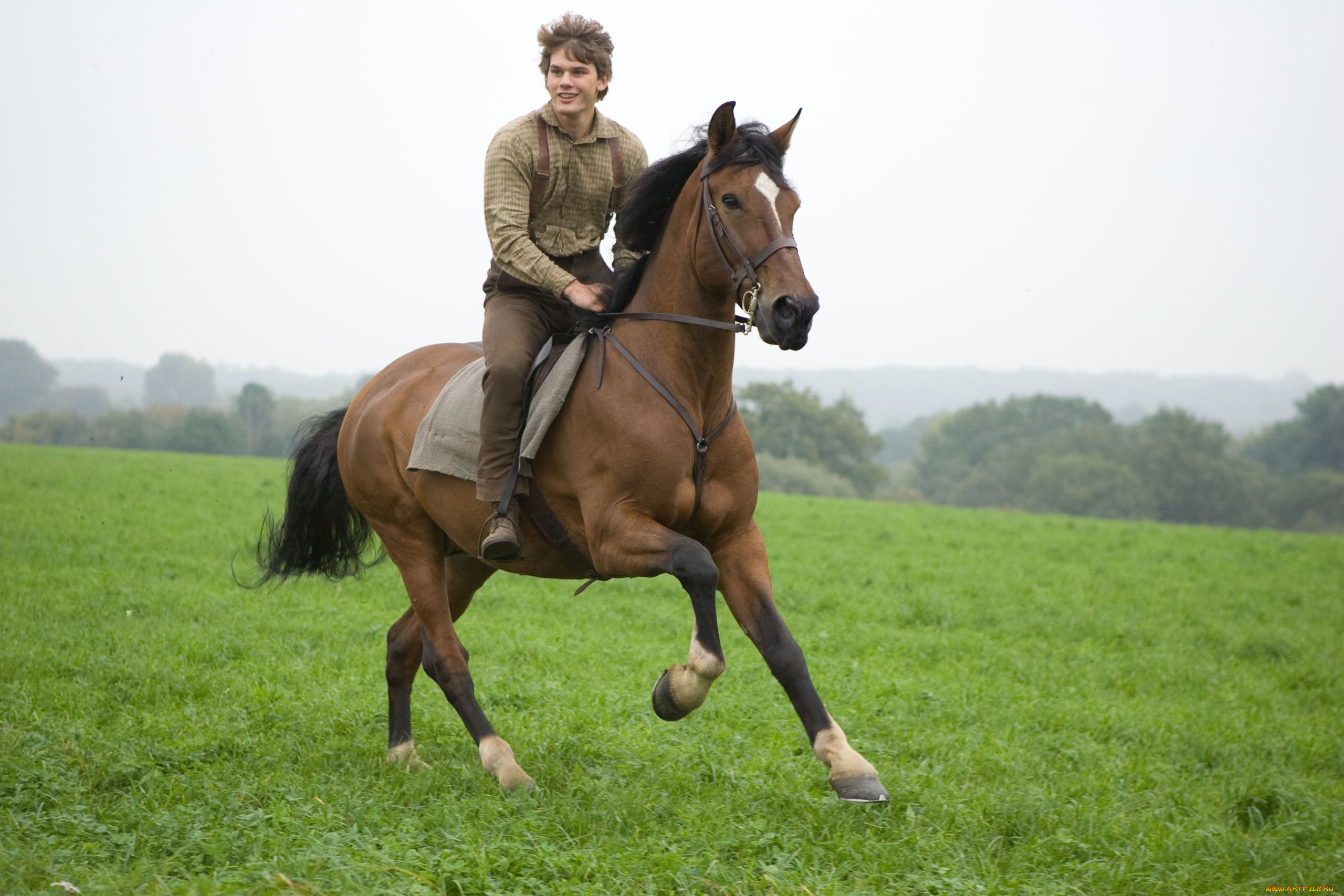 Над верхом. Боевой конь фильм 2011. Клара фильм про лошадей. Всадник с лошадью. Всадник на коне.